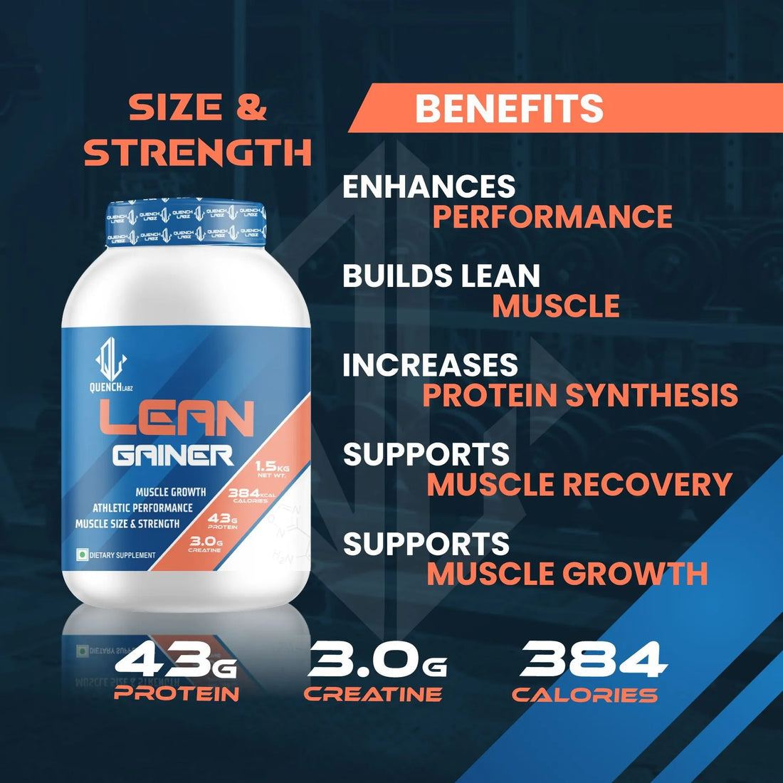 QuenchLabz - Lean Gainer - Quench your Lean Muscle