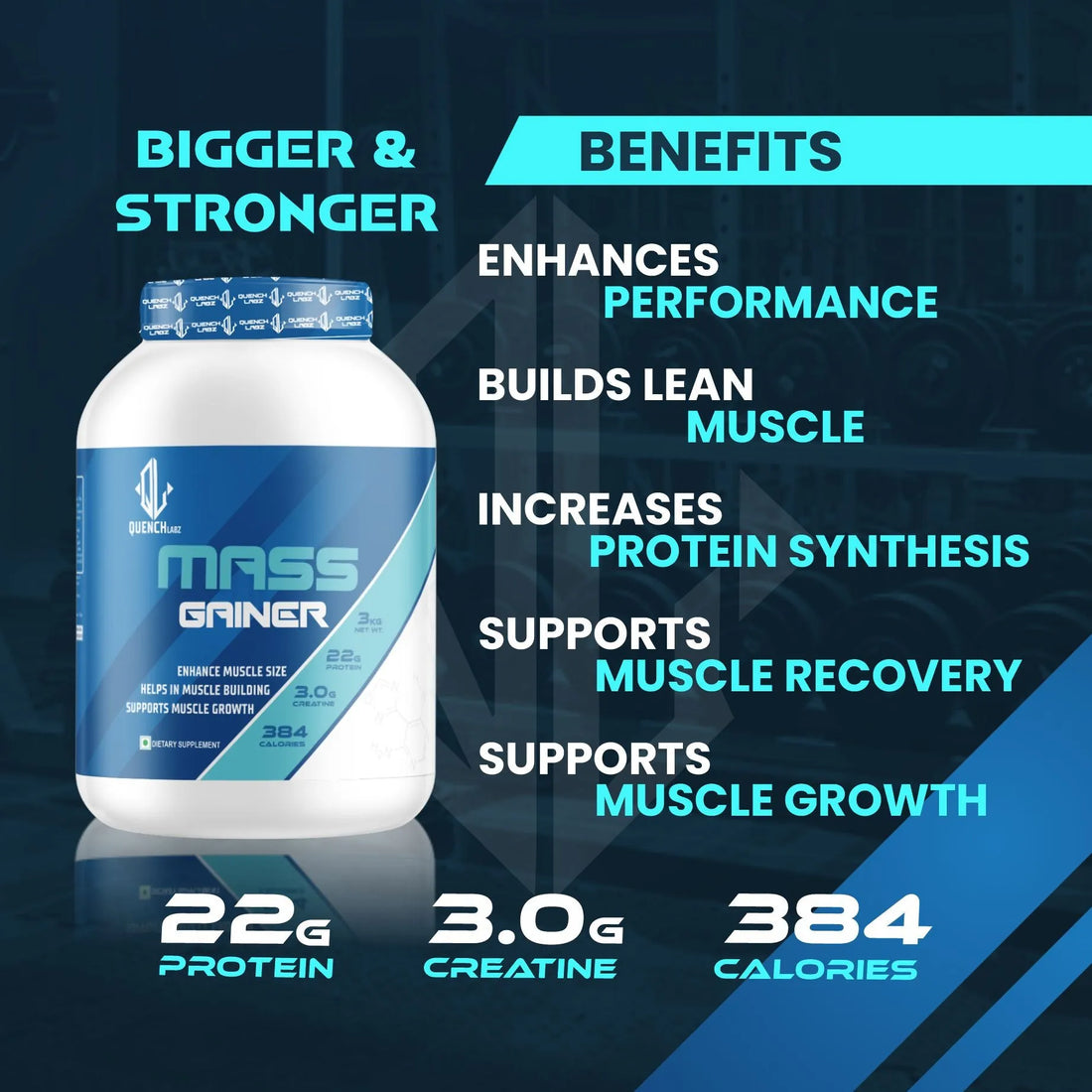 Mass Gainer 3 Kg + Mass Gain 60 capsules + Shaker 700 ml