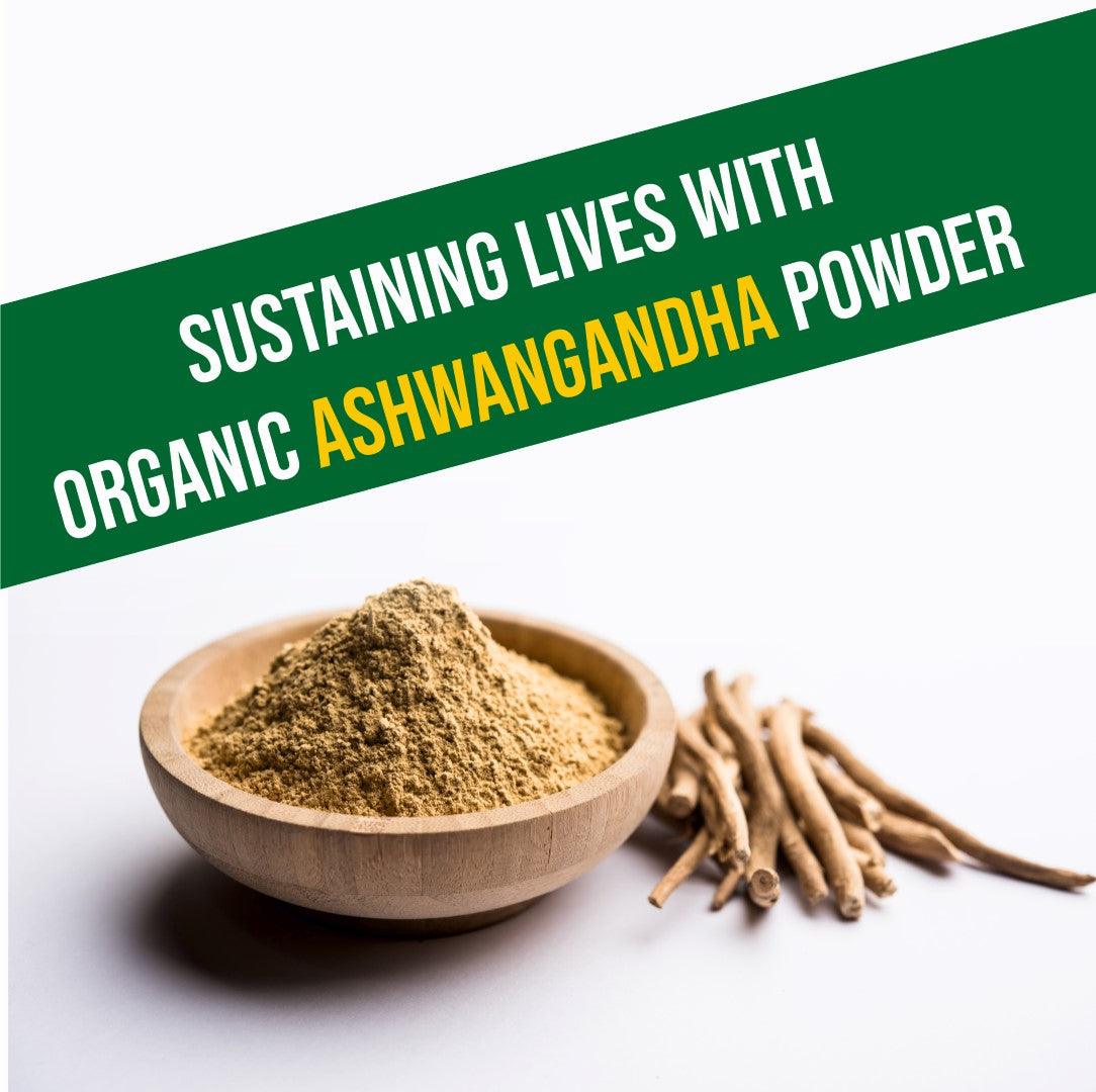 Organic Ashwagandha Powder - Nature's Stress Buster - Quenchlabz